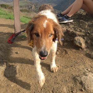 Meet your Posher, Tristan